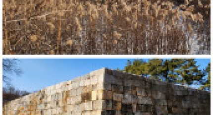 �÷��ֿ�������, ��ȭ�� ����� �����׸� Ʈ��ŷ���� ���